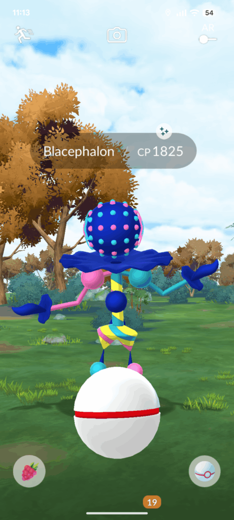 First ever raid and it's shiny:)