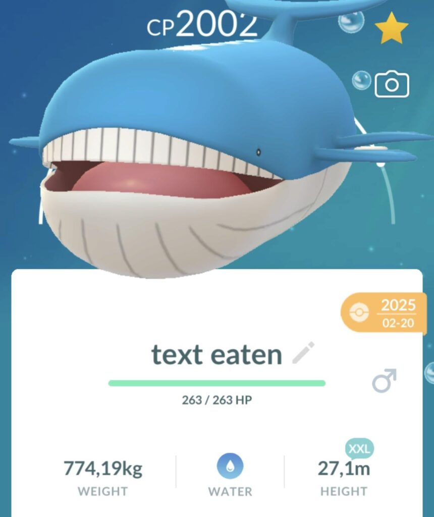 I bet anyone can’t beat this XXL, and he ate the text! 😭