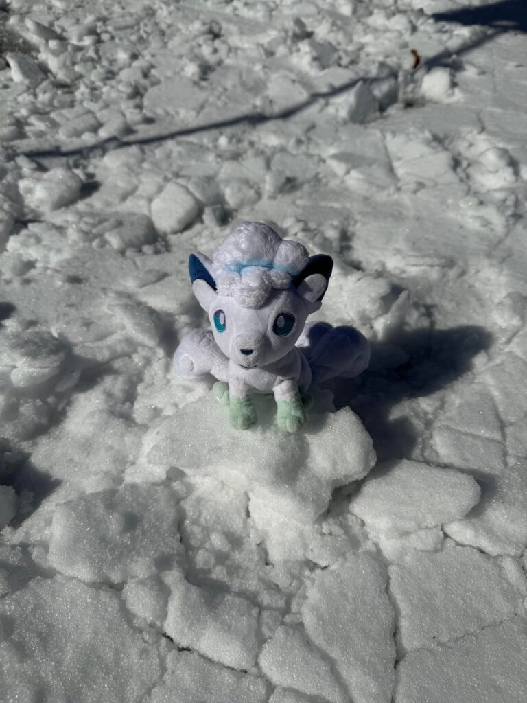 My Alolan vulpix enjoying the southern freeze!