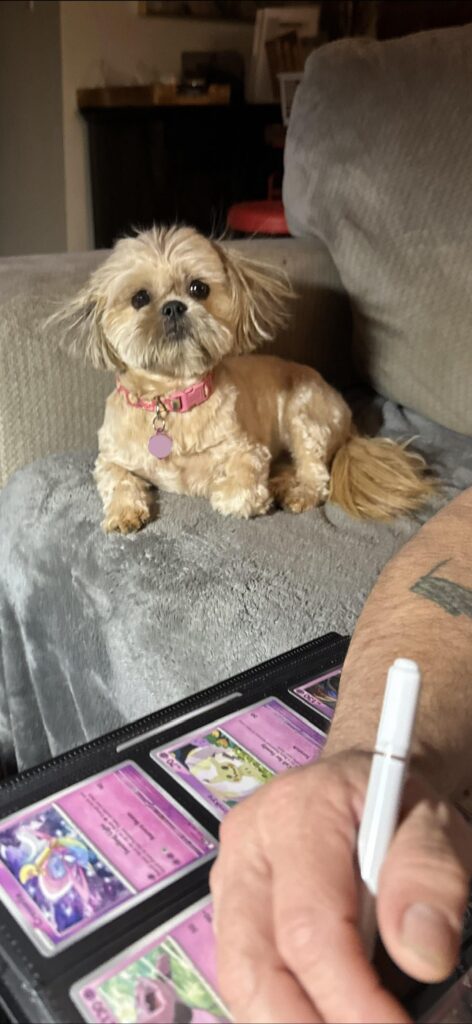 It’s electrifying !