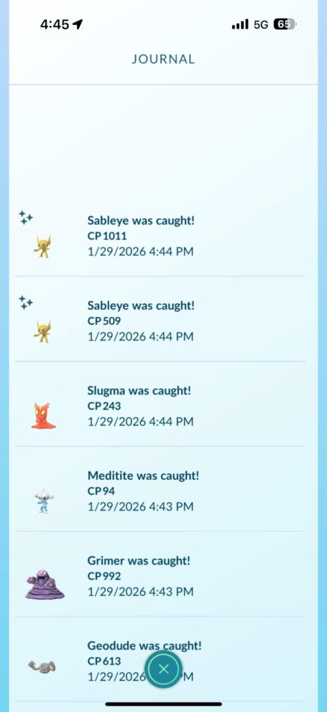 Back to back shiny sableye