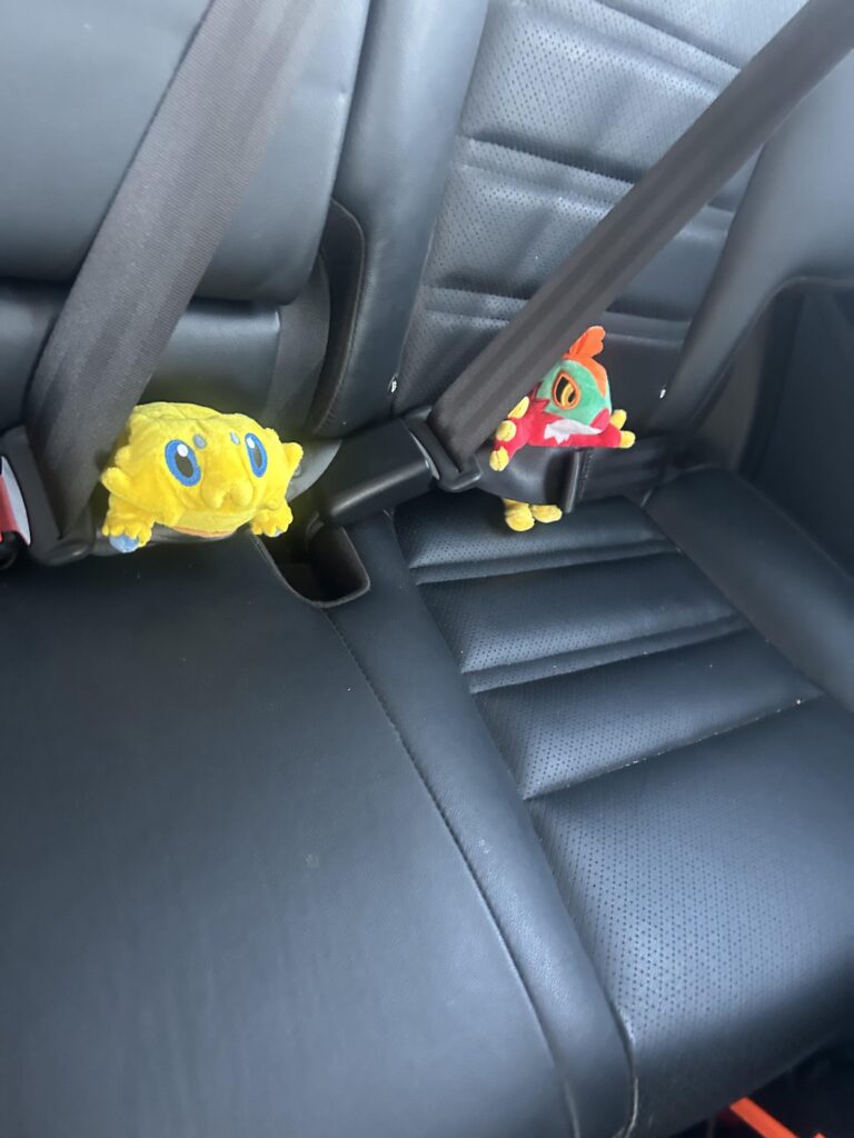 Me and my babies are going on a little trip.