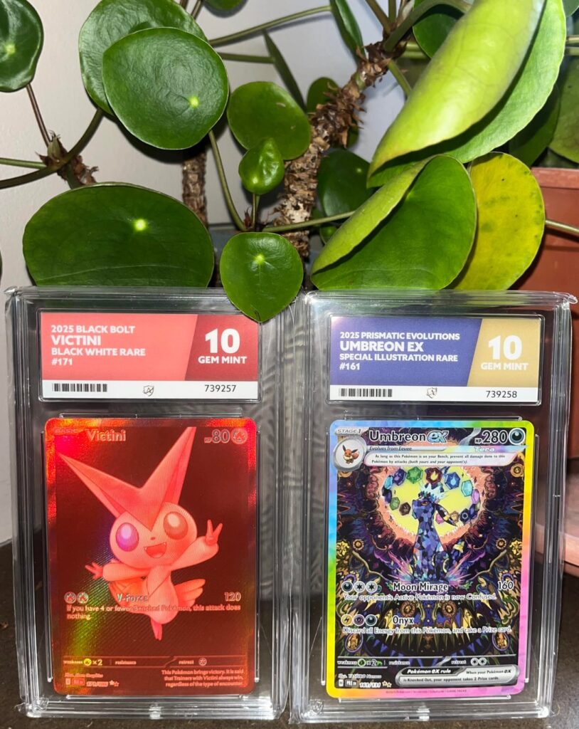 Finally got them graded