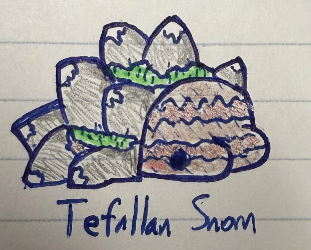 Regional Ground Snom