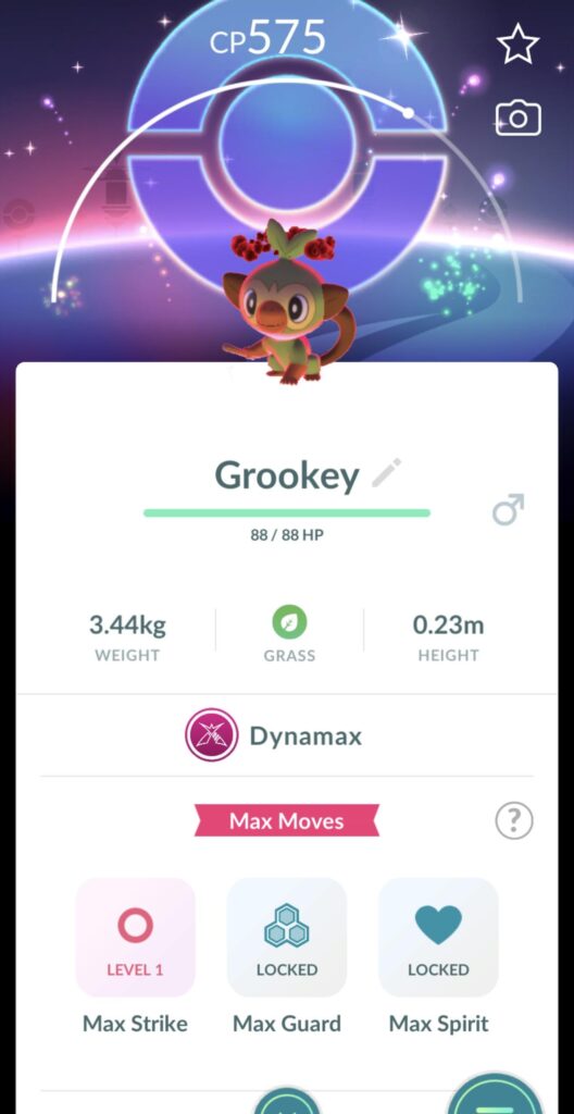 Community Day Background on Dynamax Grookey Confirmed