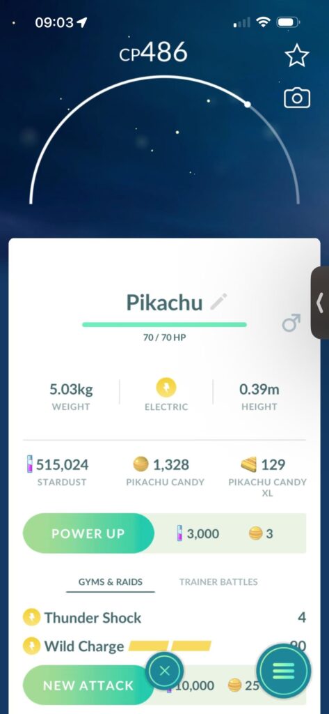Does anyone else have a Pikachu that actually does not exist?
