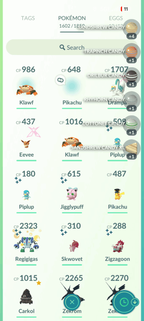 Can't change buddy pokemon? (Made a Pikachu with no image as buddy and can't remove it now)
