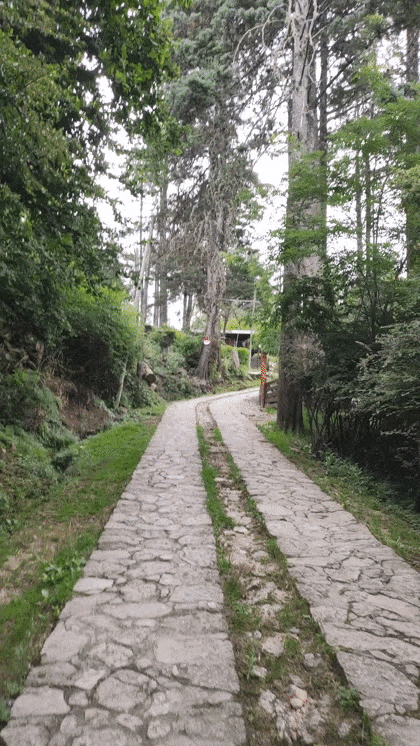 When you climb a mountain path thinking someone nailed a PokeBall at the end.