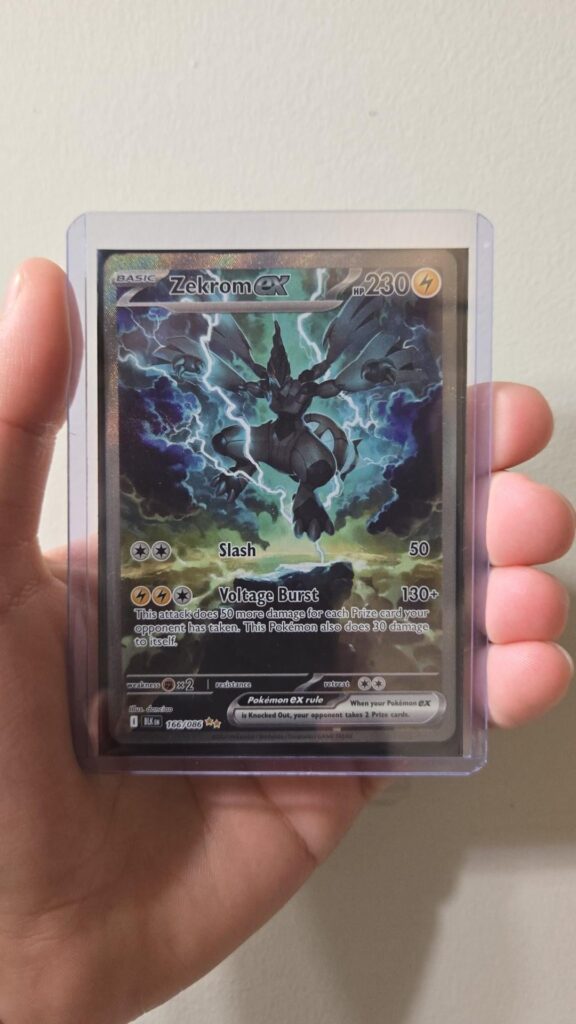 Got the blackbolt etb cause I love zekrom and wanted the box