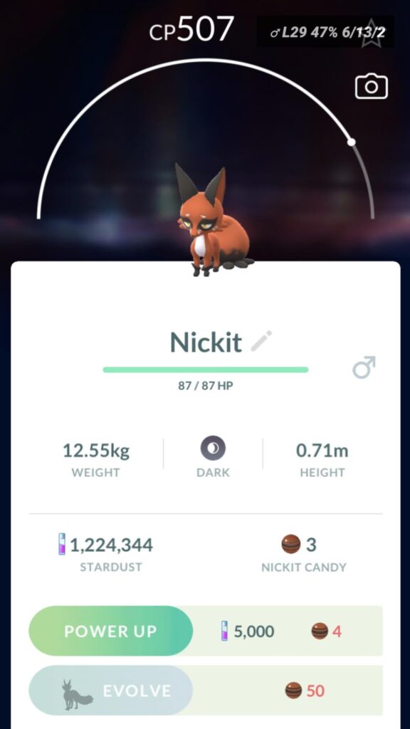 What should I name him?