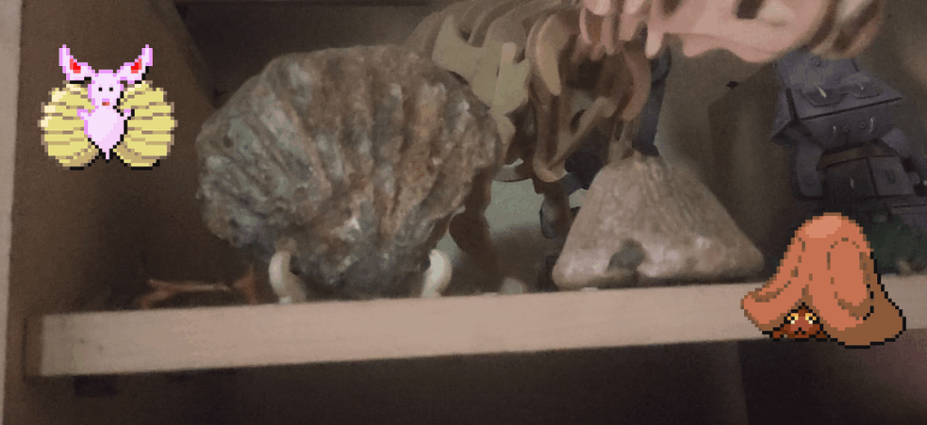 [iriria region] ok so after the starters, route 1 and regionals come the fossils rigth? echinope and gimnosoul