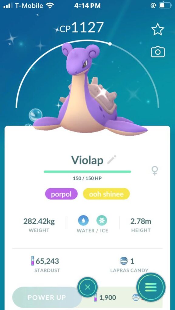 new porpol shiny