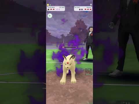 Return of the Rat: Morpeko Defeats Giovanni.