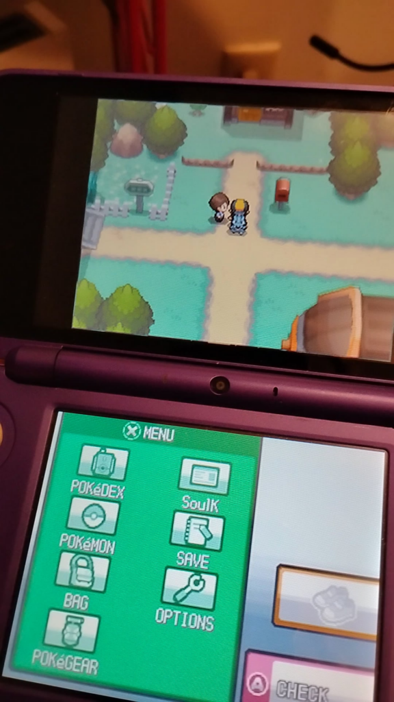 Been playing SoulSilver for the first time recently, does anyone know what these screen effects are?