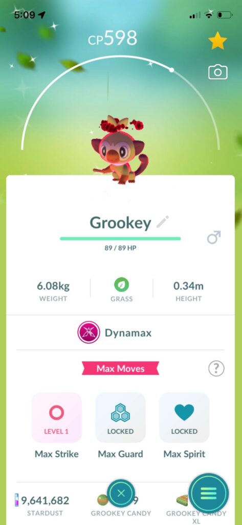 Shiny Dynamax Grookey confirmed!