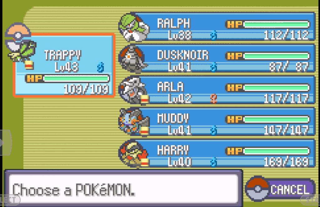 This is my team in Pokémon Emerald, should I leave it like this or change something?