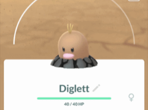 Alolan Diglett head inflating?