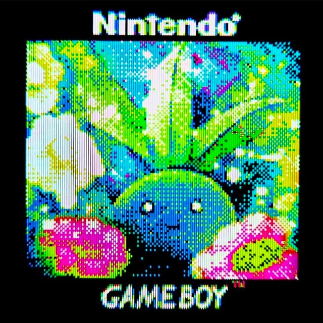 Gameboy Camera