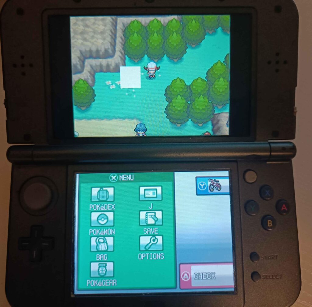 Wild Level 1 Mystery