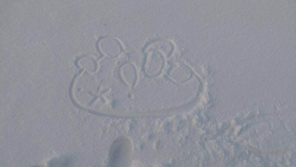 A wild pyukumuku appeared in snow !