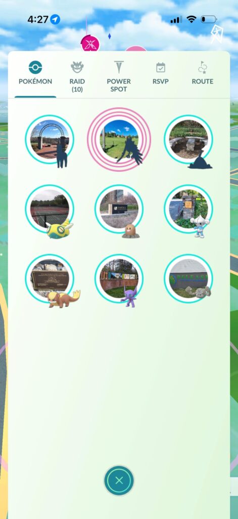 Just finished a daily incense walk, what the heck is this bird?