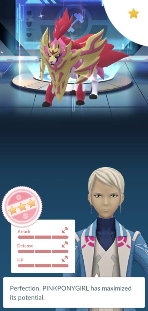 First SHUNDO BFF