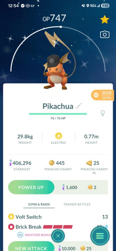 Anyone else have a Pikachua?