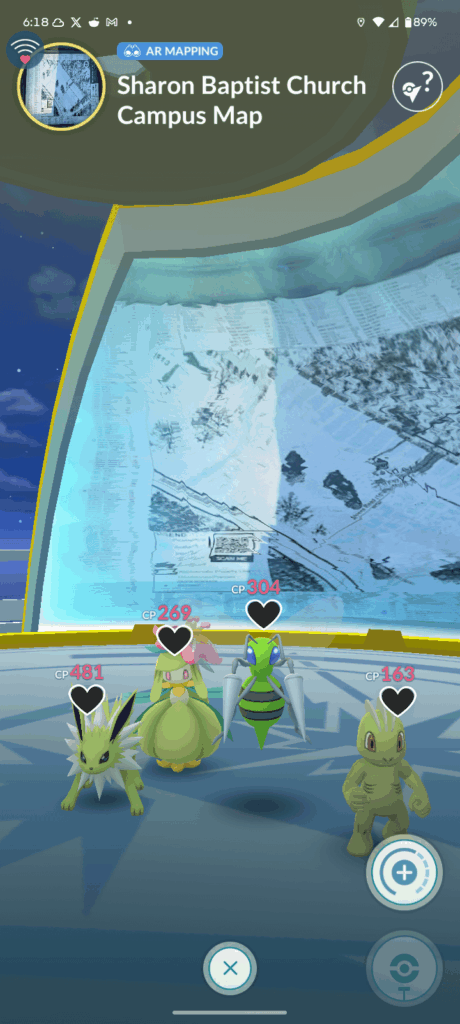 The shiny gang near my home