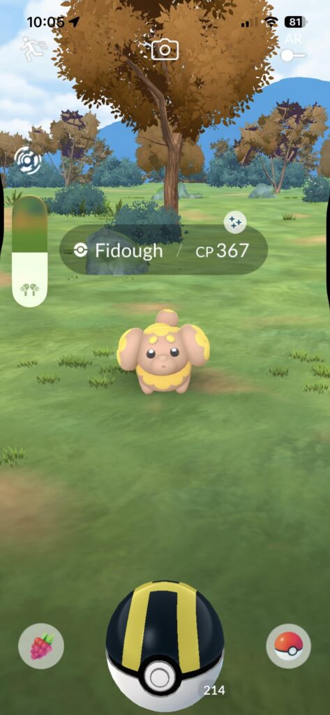Shiny Fidough confirmation