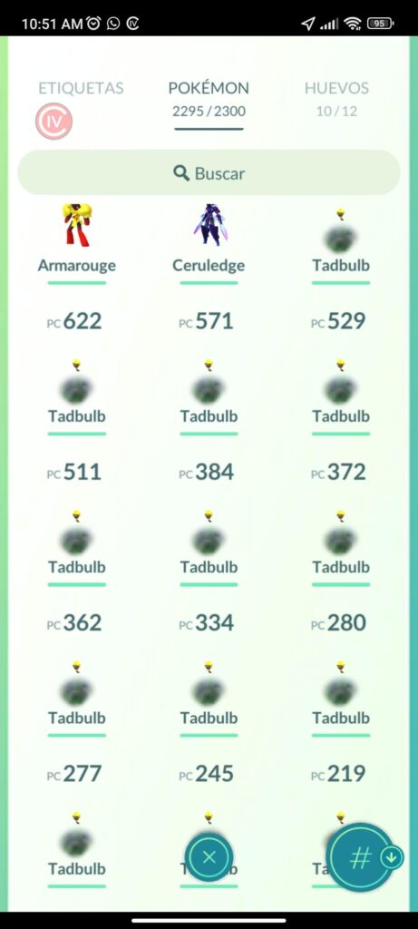 Does anyone know what these things are?