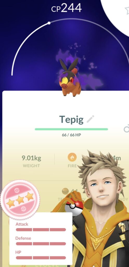 A very nice surprise! Now what?