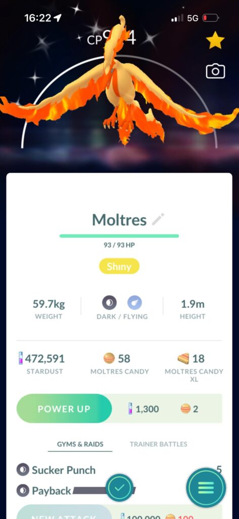 My first caught bird, probably because its shiny