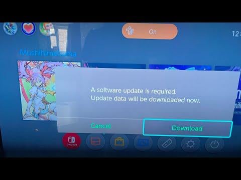 Nintendo forces ALL physical cartridges to update once a newer version has been installed.