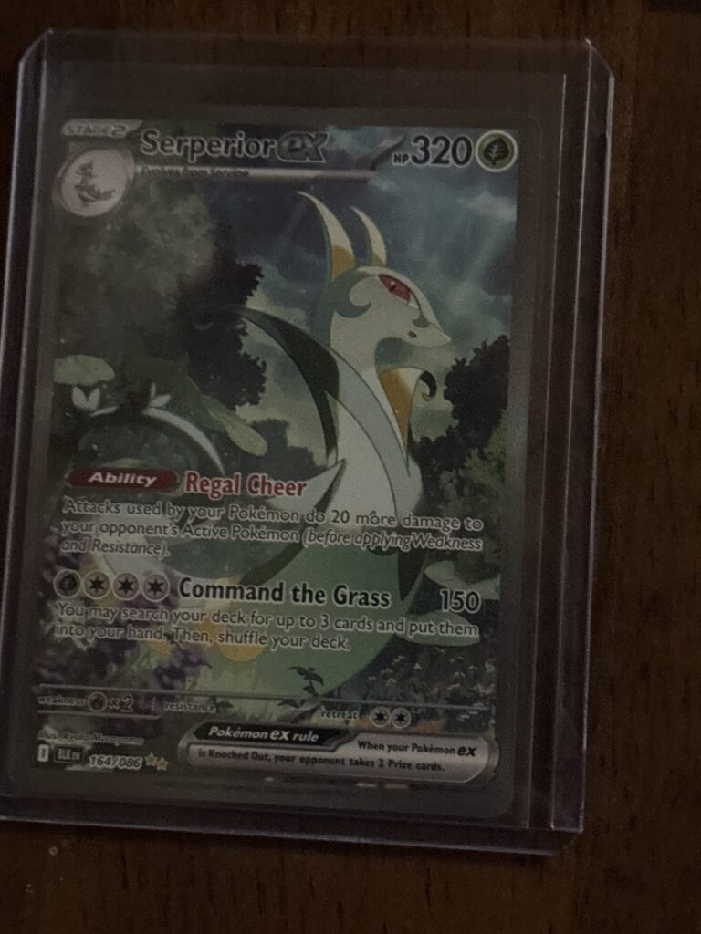 New Edition to the BB/WF Collection