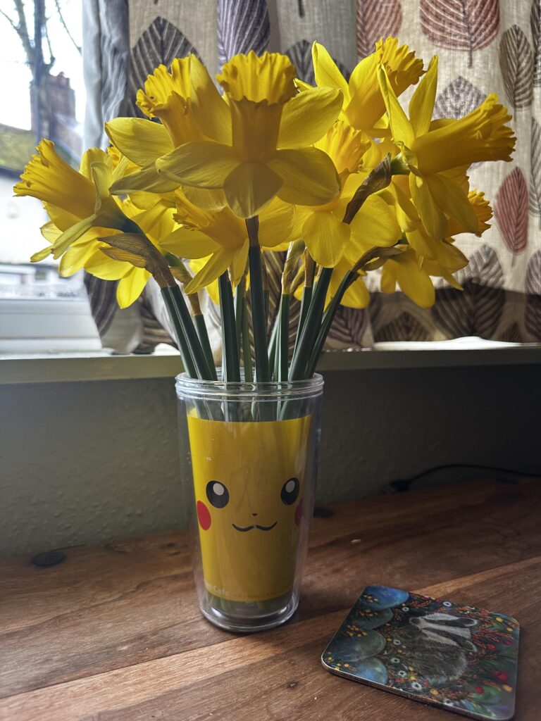 If you put daffodils in a Pikachu cup it looks really nice.