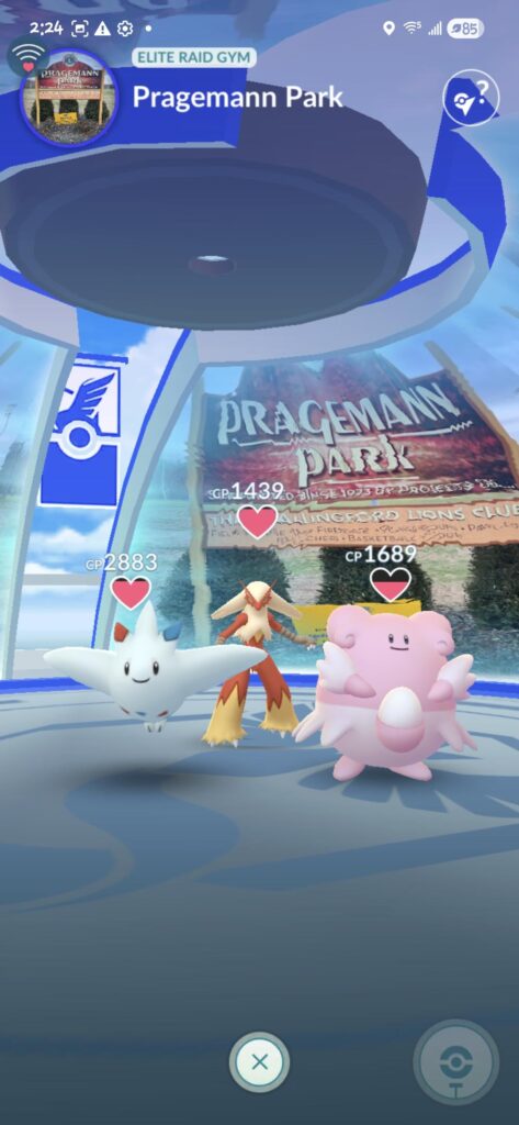 Is this a good trio for jim defence? ( the togekiss is mine)