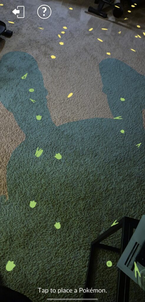 What is this an outline of?