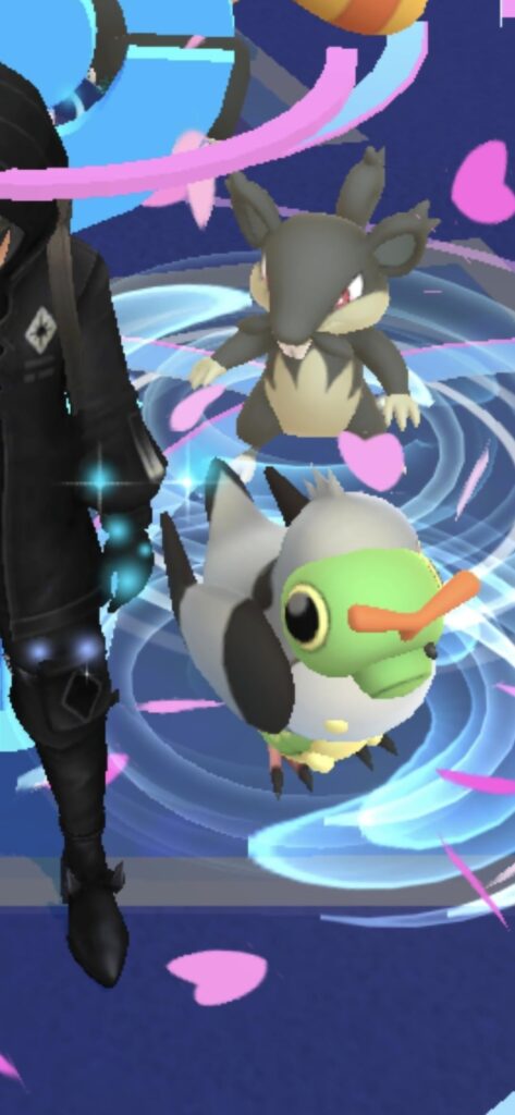 What would you name this little guy?