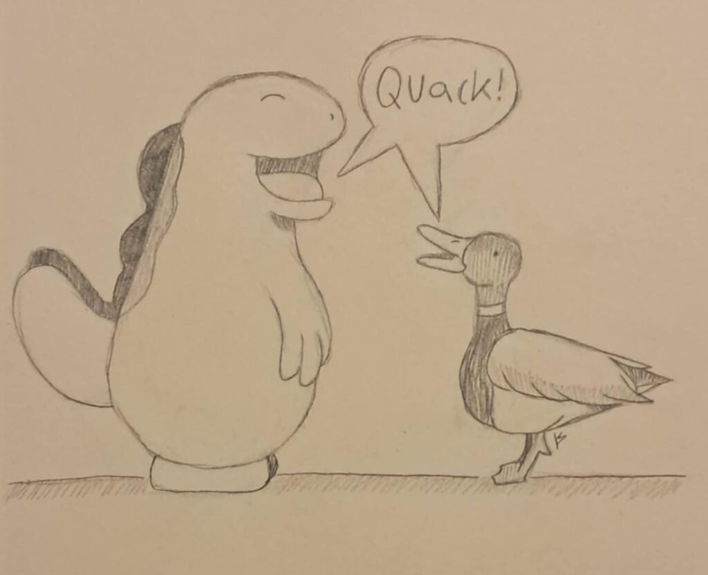 A fellow quack