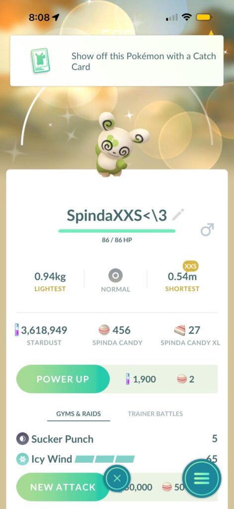 XXS <3 Spinda!
