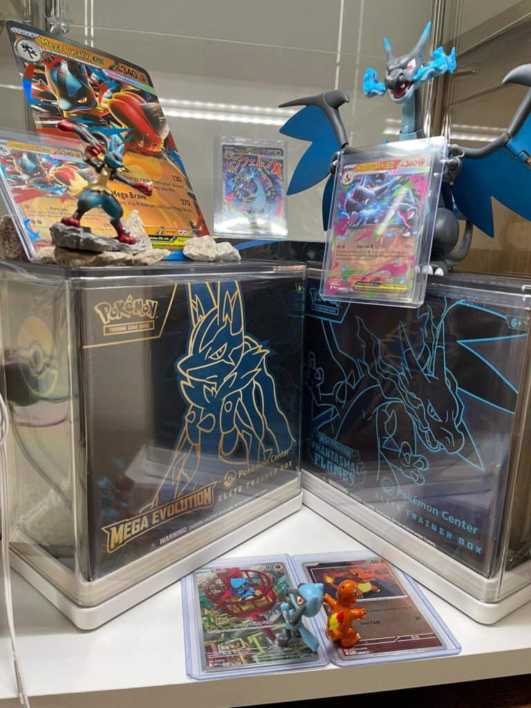 My Pokemon Display w/ figurines