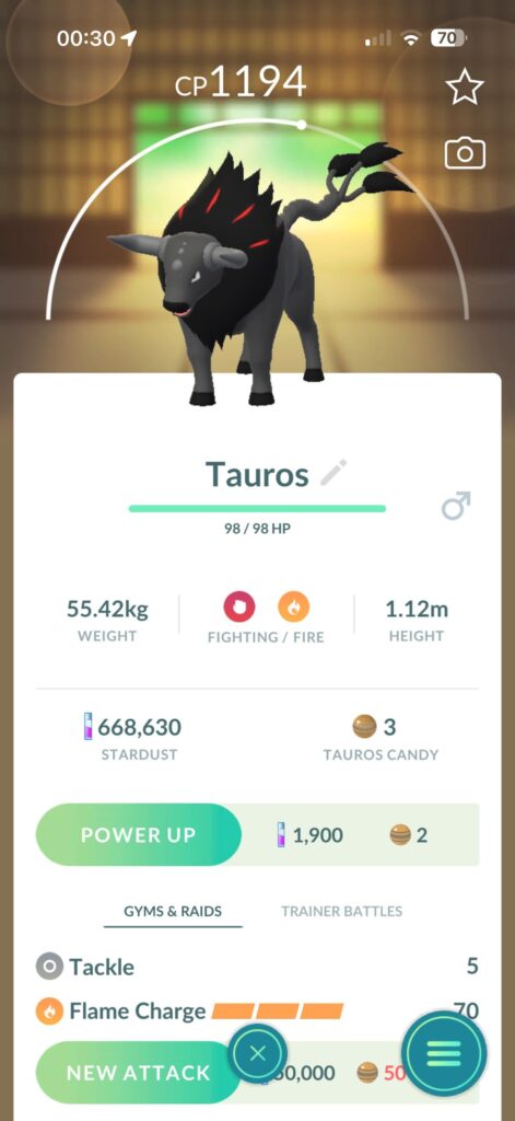 Tauros available in the UK for London timed research!!
