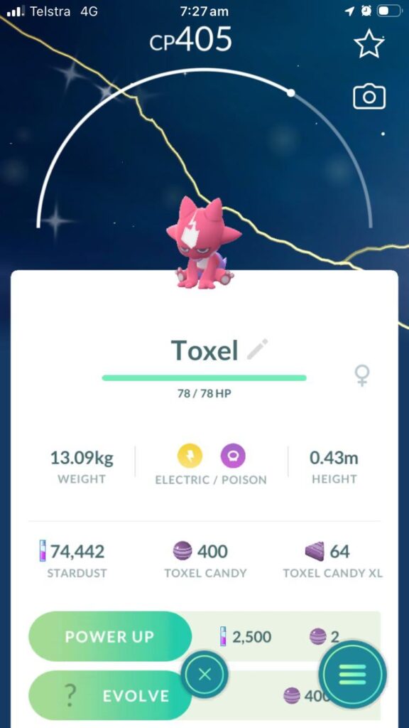 I have walked 500 miles