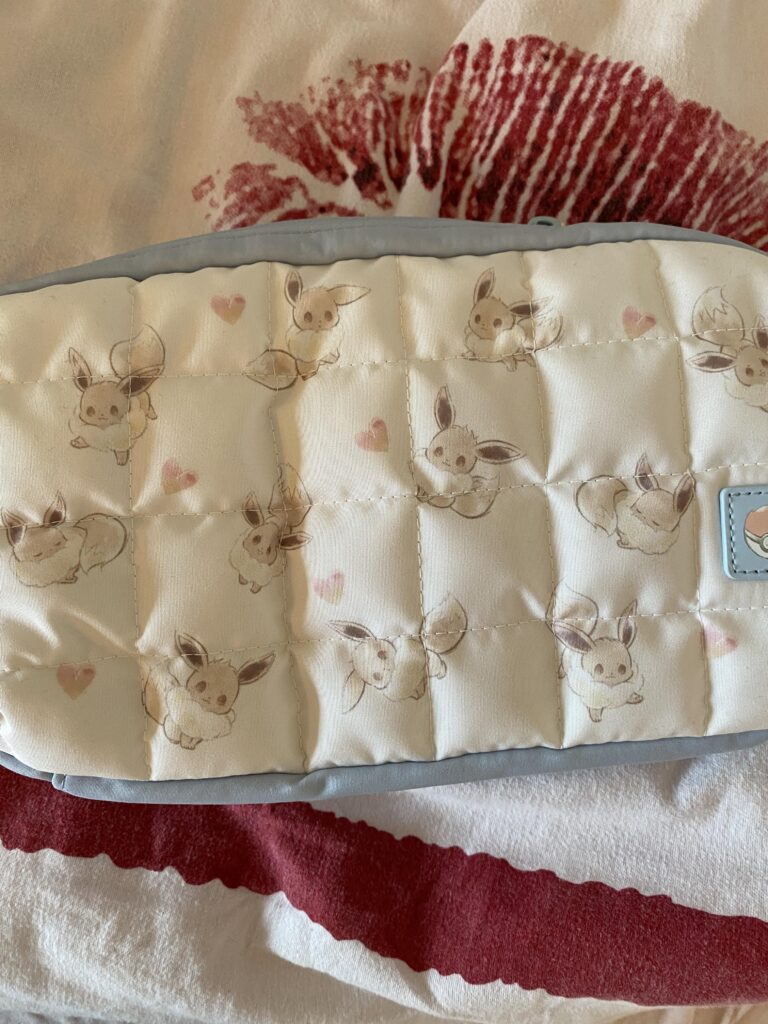 I got an Eevee Nintendo case!!
