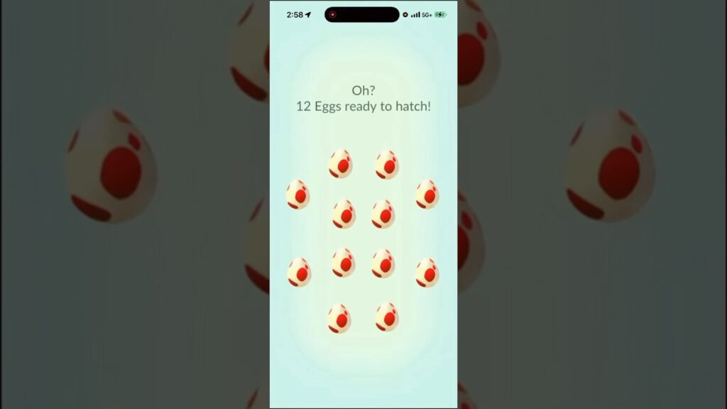 I Hatched 12x 12k Eggs In Pokemon Go and THIS Is What I Got! #shorts #pokemon