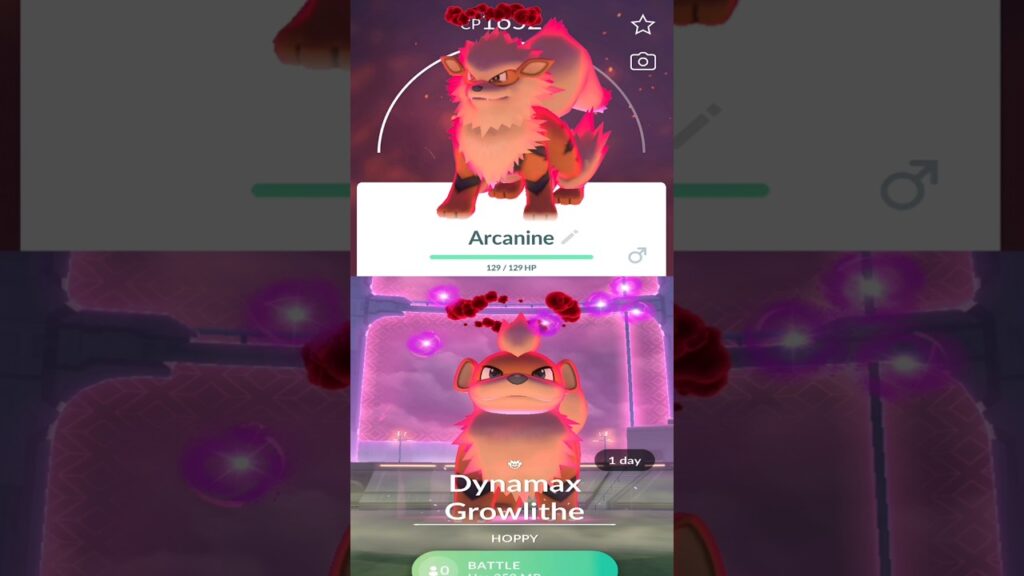First Dynamax Growlithe raid in Pokemongo #pokemon #pokemongo #youtubeshorts #shorts