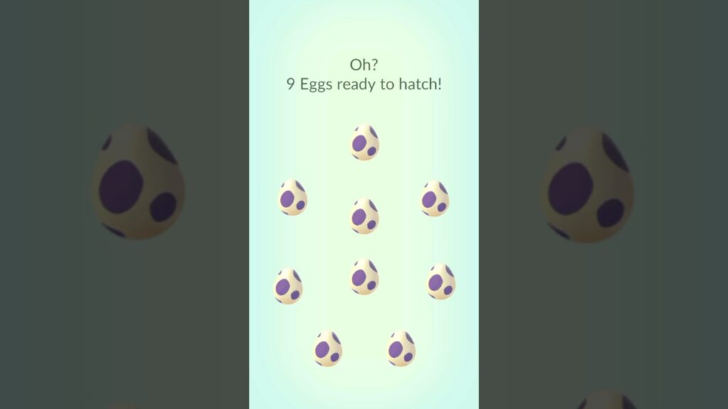Another Full Batch of 10km Eggs In Pokemon Go!!! #pokemongo