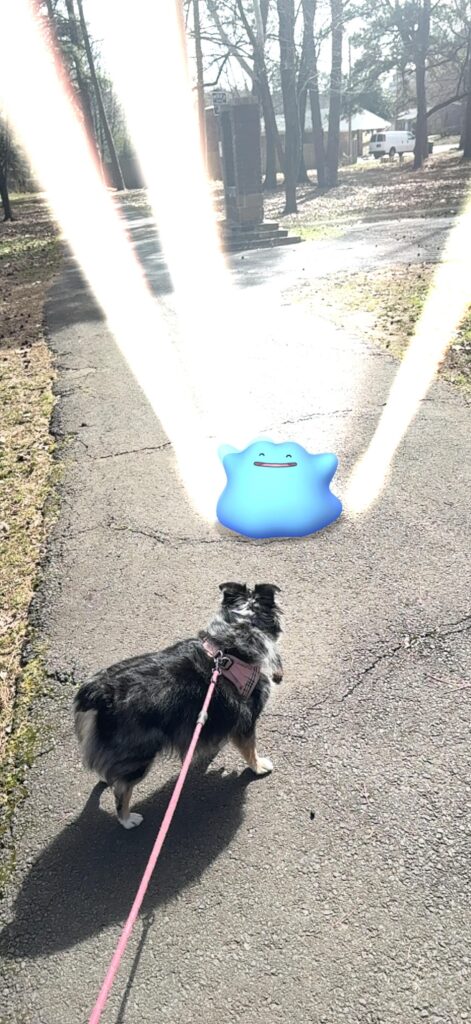 Opal seemed startled when Ditto got excited