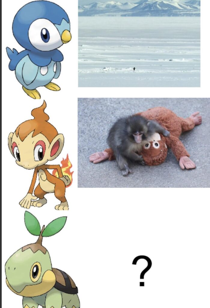 Sinnoh is coming to life