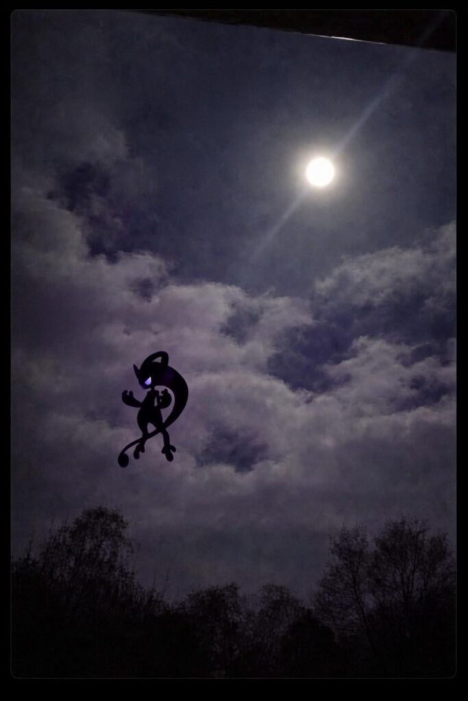 Editors Some friendly advice needed